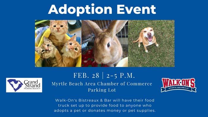 Adoption Event