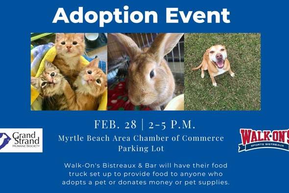 Adoption Event