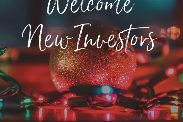 ornament and colorful twinkle lights with words reading welcome new investors